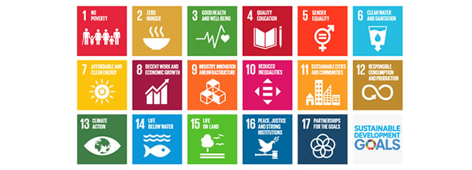 持続可能な社会を目指して－SDGs×私たちにできること－